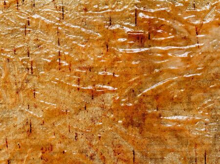 Vintage old paper background  の写真素材
