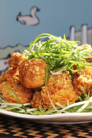 chicken with green onionの写真素材