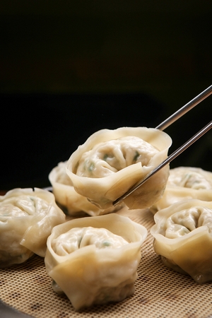 Meat Dumplingsの写真素材