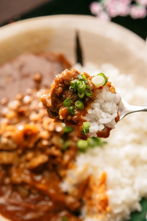 Curryの写真素材