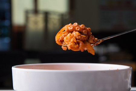 Nakji deopbapの写真素材