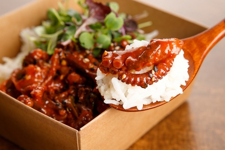 Nakji deopbapの写真素材