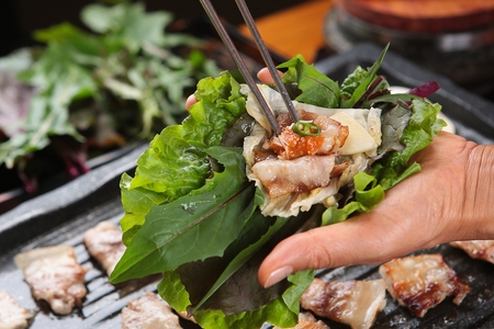 Rice wrapped in greens a planeの写真素材