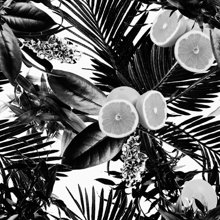 Tropical black and white lemon patternの写真素材