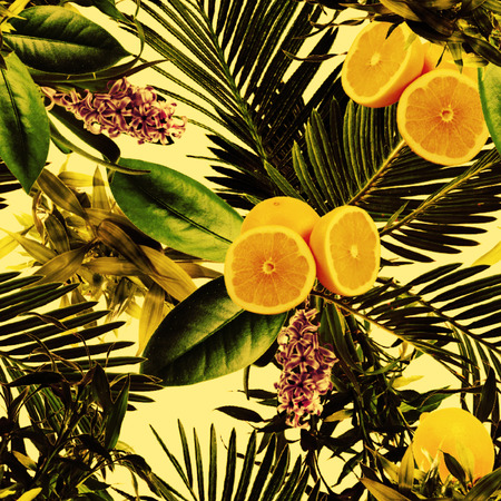 Tropical yellow lemon patternの写真素材