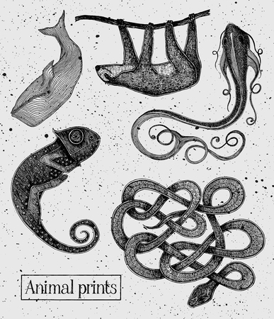 Animals illustrations on the vintage cement backgroundのイラスト素材