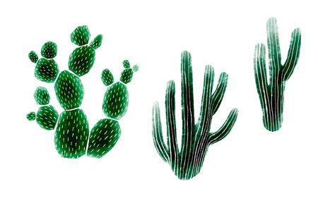 Watercolor cactus set isolated on white background. Vector design.のイラスト素材