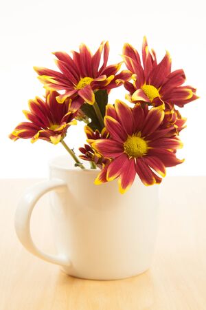 Flower bouquet in a white mugの写真素材
