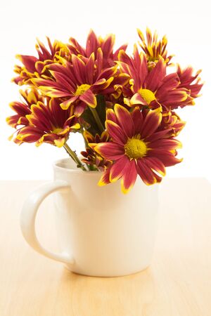 Flower bouquet in a white mugの写真素材