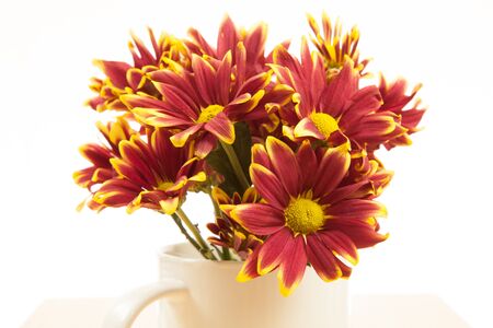 Flower bouquet in a white mugの写真素材