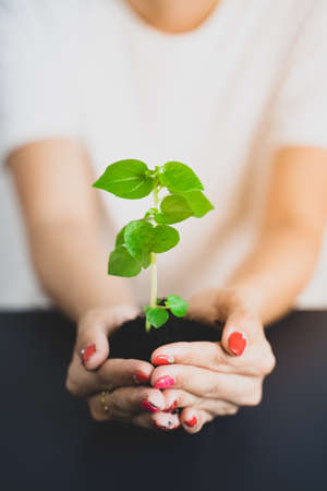 Young woman holding young plant in her hands. Agriculture organic farmerの写真素材