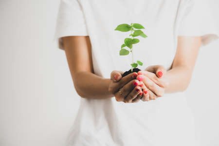 Young woman holding young plant in her hands. Agriculture organic farmerの写真素材