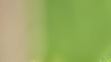 blurred green abstract background, out of focus texture.の写真素材