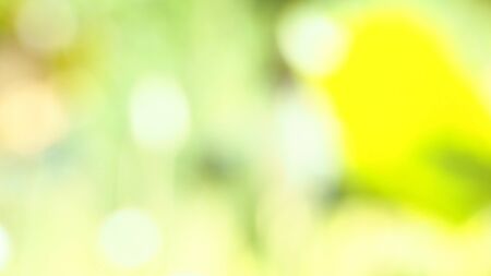 blurred green and yellow abstract background, out of focus texture. with bokeh and sunlight.の写真素材
