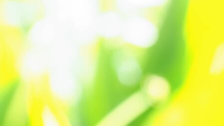 blurred green and yellow abstract background, out of focus texture. with bokeh and sunlight.の写真素材