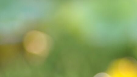 blurred green and yellow abstract background, out of focus texture, with bokeh and sunlight.