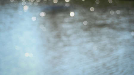 abstract leafs background of green texture, with bokeh and space for text.の写真素材