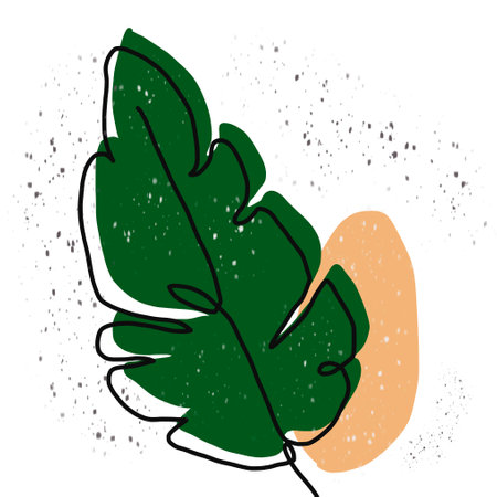 abstract floral, leaf, tree on white background. Hand drawn vector illustration for you design.の写真素材