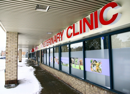 Toronto, Canada, February 2, 2011 - A veterinary clinic in Torontoのeditorial素材