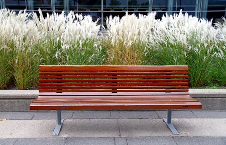 A red public bench in a park