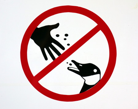 Do not feed ducks sign in a park in Ontarioの写真素材