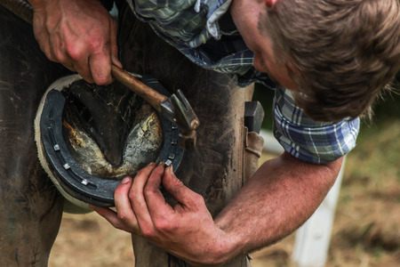 horses hoof being shoed by farrier/blacksmith