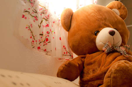 Cozy Bearの写真素材