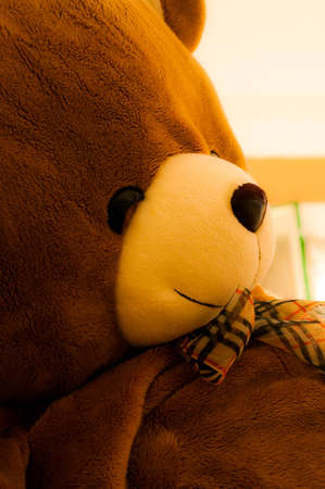 Cozy Bear Smileの写真素材