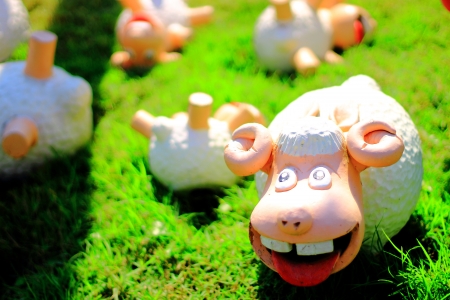 smiling sheepの写真素材