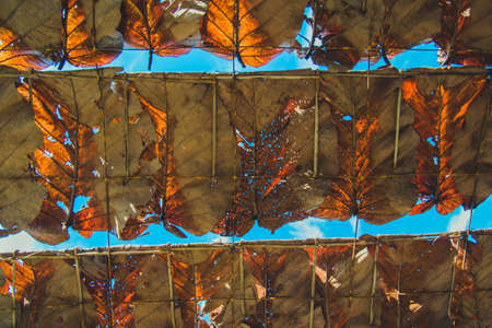 A closeup of thatch roof background. A thatch roof view and blue sky on sunny day.の写真素材