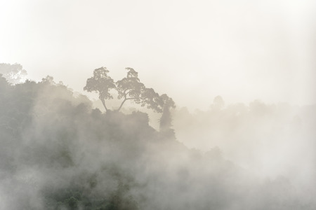 Paradise landscape at Ratchaprapa dam, Khao Sok, Surat Thani, Thailand. Beautiful sea of fog in...