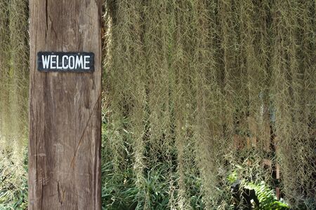 Wooden sign on old wooden post