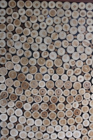 Logs wood background