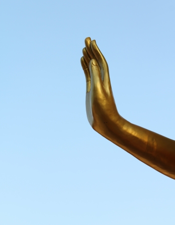 Buddha handの写真素材
