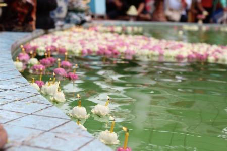 Floating lotus flowers with candlesの写真素材