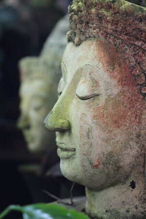 Side face of Buddha statue, Chiangmai, Thailandの写真素材