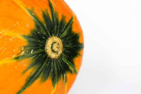Pumpkin orange food nature background 