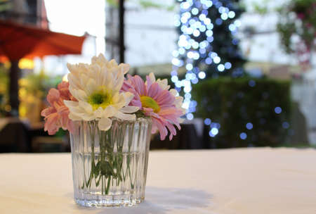 Daisy flowers in a glass vase 
