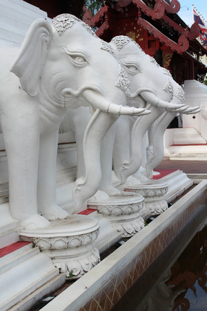 White elephant statue, Royal Pavilion, Chiangmai,Thailand.の写真素材