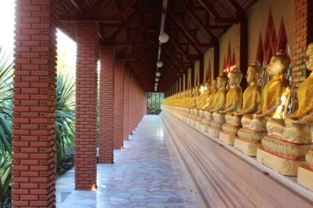 A row of seated buddhas at the temple in Wat Rom Luang, Maetang, Chiangmai, Thailand.の写真素材