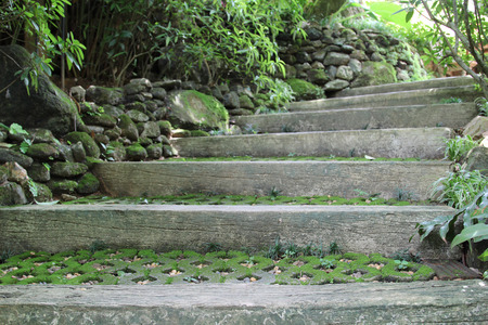 Old wooden stairs in the garden.の写真素材