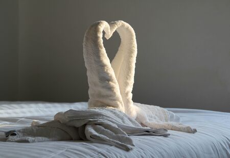 Swan shaped white towel on the bed in hotel resort.の写真素材