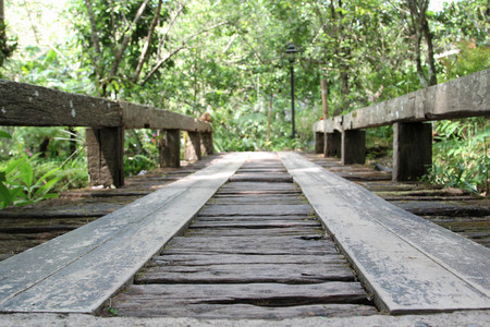 Old wooden bridge over the canal in the park.の写真素材