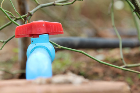 Plastic valve for control the water flow used in agriculture.の写真素材