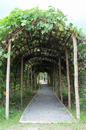Green vegetable tunnel and gray granite gravel pathway.の写真素材
