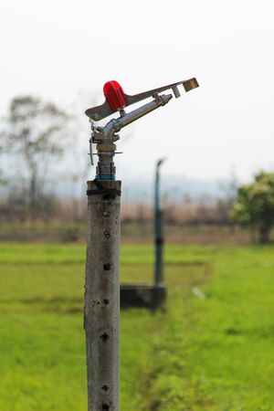 Sprinkler in green grass with blue sky background.の写真素材