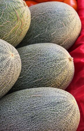 Green melon pile ready for sale in the market.の写真素材