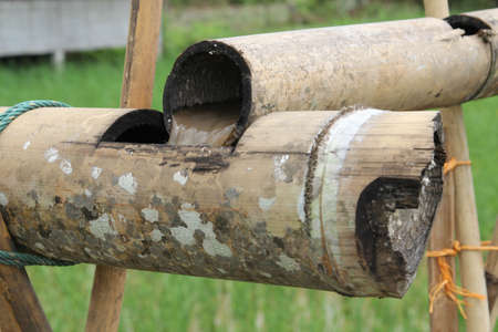 Water steps from bamboo pipeline in the garden.の写真素材