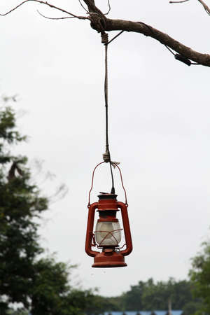 Red oil lamp hanging on branches.の写真素材