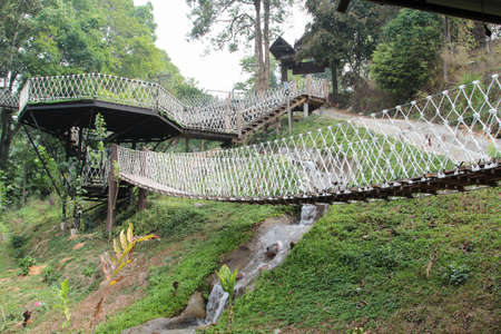 The suspension bridge in the park.の写真素材